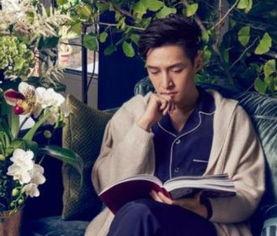 胡歌初恋爆料视频,那段青涩恋情背后的故事