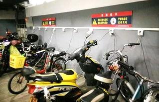 爆料秦皇岛电动车新闻最新,最新事故频发，安全警示再敲警钟